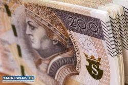 Pożyczka między osobami prywatnymi z 100% gwarancj - Obrazek 2