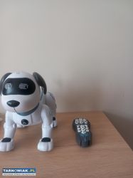 Piesek interaktywny - Obrazek 1