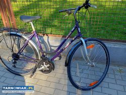 Sprzedam Rower KTM 28cali - Obrazek 2