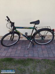Rower - Obrazek 1