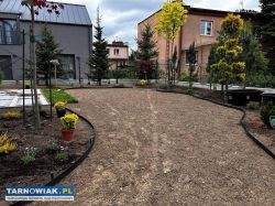 Zakładanie trawników/ ogrodów - Obrazek 1