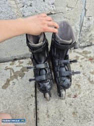 Rolki spokey basic 38-41 - Obrazek 1