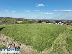 Widokowa działka z warunkami zabudowy w Zalasowej - Obrazek 4