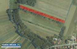 Działka w Bobrownikach Małych - 61 ar - Obrazek 4