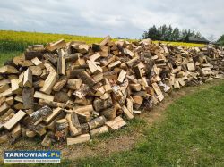 Drewno opałowe - Obrazek 1
