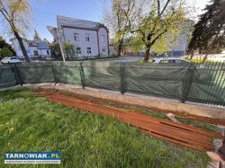 Stal zbrojeniowa, pręty - Obrazek 1