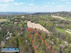 Twój prywatny las blisko Tarnowa - Obrazek 3