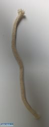 Knot lampy olejowej naftowej - Obrazek 3