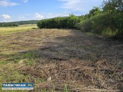 działka budowlana - Tarnów, ul. Murarska - Obrazek 4