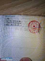 Renault grand Scenic 2004 - Obrazek 4