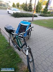 Przyczepka rowerowa Burley - Obrazek 1
