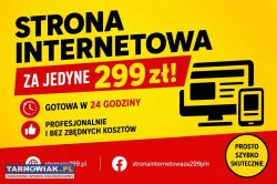 Twoja strona internetowa już jutro - tylko 299 zł - Obrazek 1