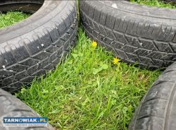 Opony letnie hankook optimo h725 215/65r17 - Obrazek 3