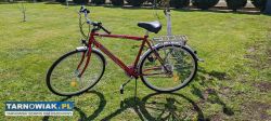 Rower Arkus Delta Vintage - Obrazek 1