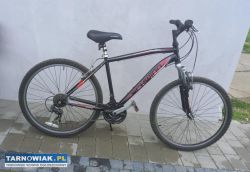 Rower górski - Obrazek 2