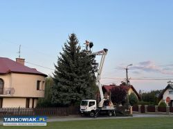 Zwyżka wynajem 20m /25m wycinka drzew - Obrazek 4