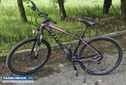 Rower mtb - Obrazek 1
