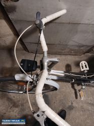 rower damka - Obrazek 4