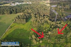 Pogórska Wola 40 arów - Obrazek 2