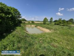 Dom z dużą działką i stawem – Strzelce Wielkie - Obrazek 4