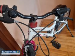Rower - Obrazek 2