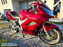 Honda vrr 800 v-tec - Obrazek 3