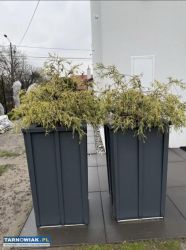Duże donice ogrodowe / tarasowe / blacha na rąbek - Obrazek 2