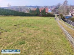 Uszew- piękna działka pod zabudowę - Obrazek 2