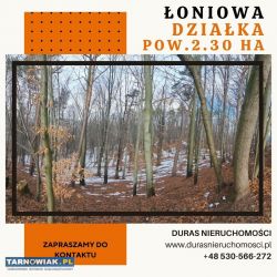Łoniowa 2,30 ha - Obrazek 1