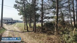 Atrakcyjne działki Pogórska Wola - Obrazek 2