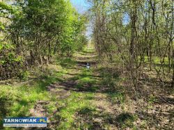 Atrakcyjne działki budowlane - mędrzechów - Obrazek 2
