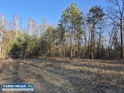 Dwie atrakcyjne działki budowlane- wielopole - Obrazek 1