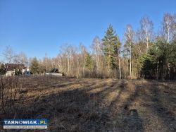 Dwie atrakcyjne działki budowlane- wielopole - Obrazek 2