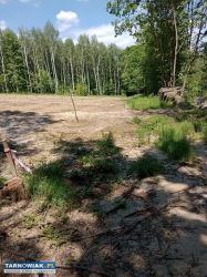 Działki z lasem 1hektar 19arów całość - Obrazek 1