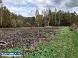 Piękna duża działka - Obrazek 1