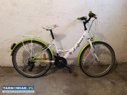 Sprzedam rower dla dziewczynki - Obrazek 1