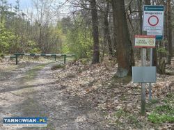 Borzęcin - działka rolna, zalesiona, 72 ary - Obrazek 2