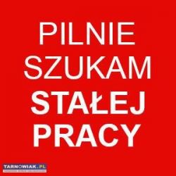 Szukam pracy na stałe - Obrazek 1