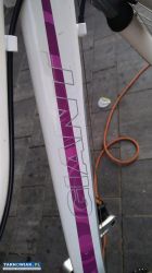 rower górski Giant dla dziewczynki - Obrazek 3