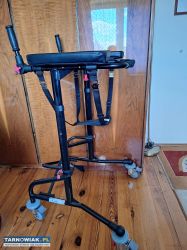 Pionizer sprzedam - Obrazek 1