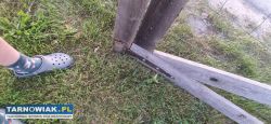 Sprzedam bramę dwuskrzyjłową na budowę, 7metrow. - Obrazek 3