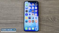 iPhone 12 Pro Max 256GB złoty, stan bardzo dobry - Obrazek 2