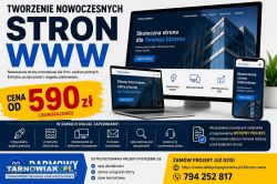 Strony www od 590 pln tanio + projekt wstępny za d - Obrazek 1