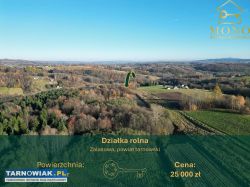 Atrakcyjna działka rolno-leśna 58 ar Zalasowa - Obrazek 1