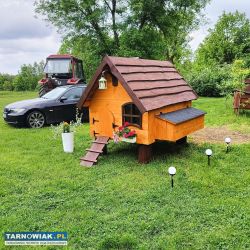 Kurnik domek dla Kurek/ kaczek - Obrazek 1