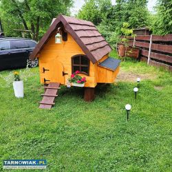 Kurnik domek dla Kurek/ kaczek - Obrazek 3