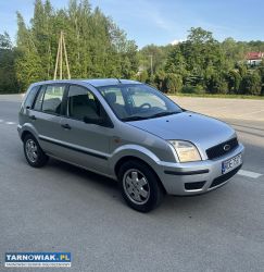 Ford Fusion 1.4 diesel 2004r - Obrazek 2