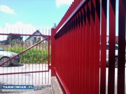 Malowanie-Malarz - Obrazek 1