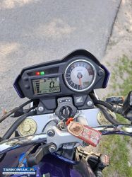 Honda Hornet 600 - Obrazek 3