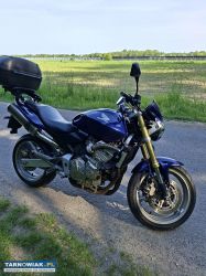 Honda Hornet 600 - Obrazek 2